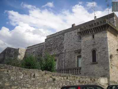 Arriviamo quindi in via Ascanio Amenduni dove finalmente incontriamo "il castello", cio� il Palazzo Ducale. La costruzione, abitata dal XII dai feudatari del luogo, � stata pi� volte ampliata e modificata fino all'aspetto odierno che esalta il portale spagnolo e la torre esterna quadrangolare messa su dai normanni